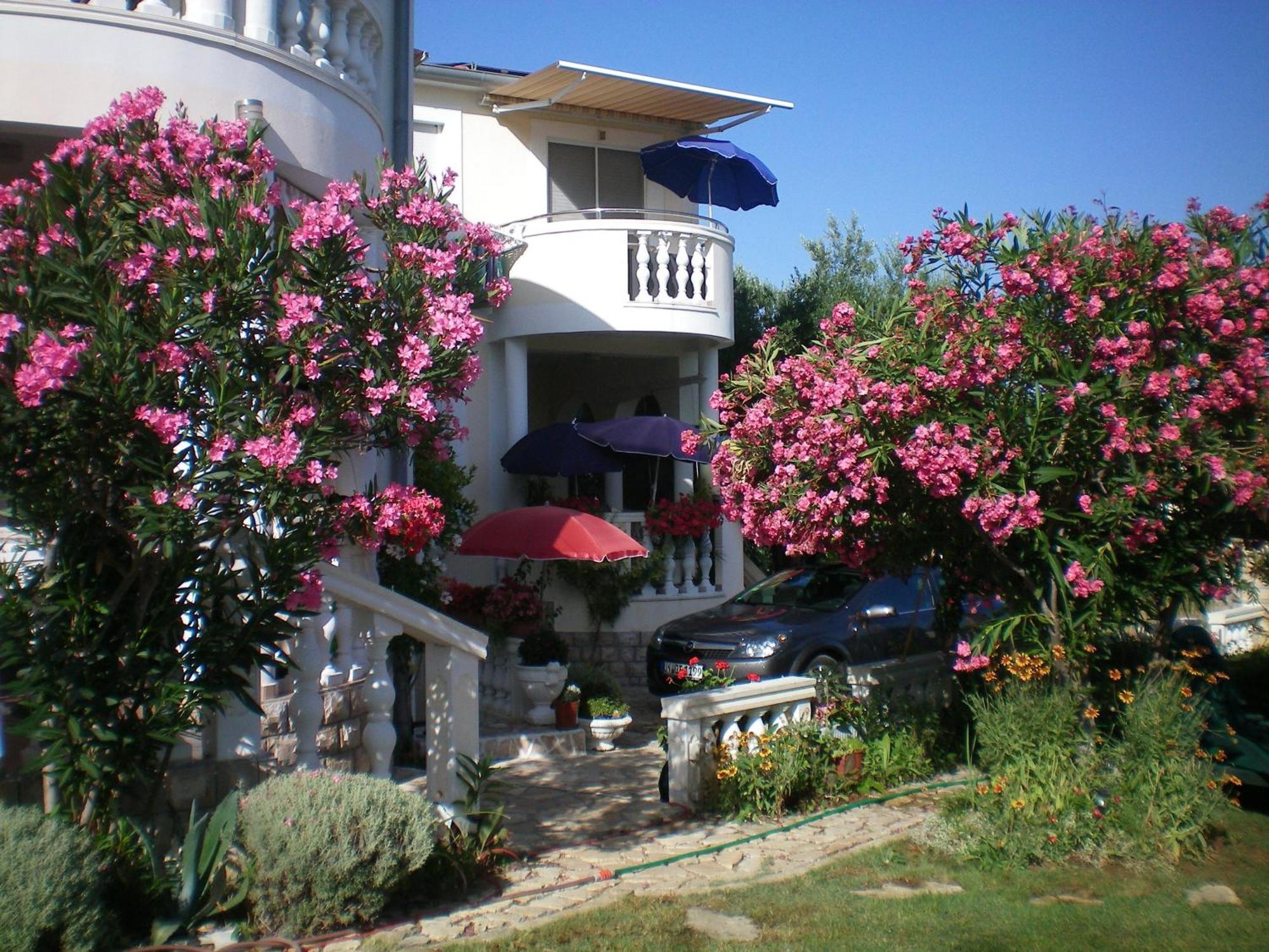 Studios Lav Privlaka  Exterior photo